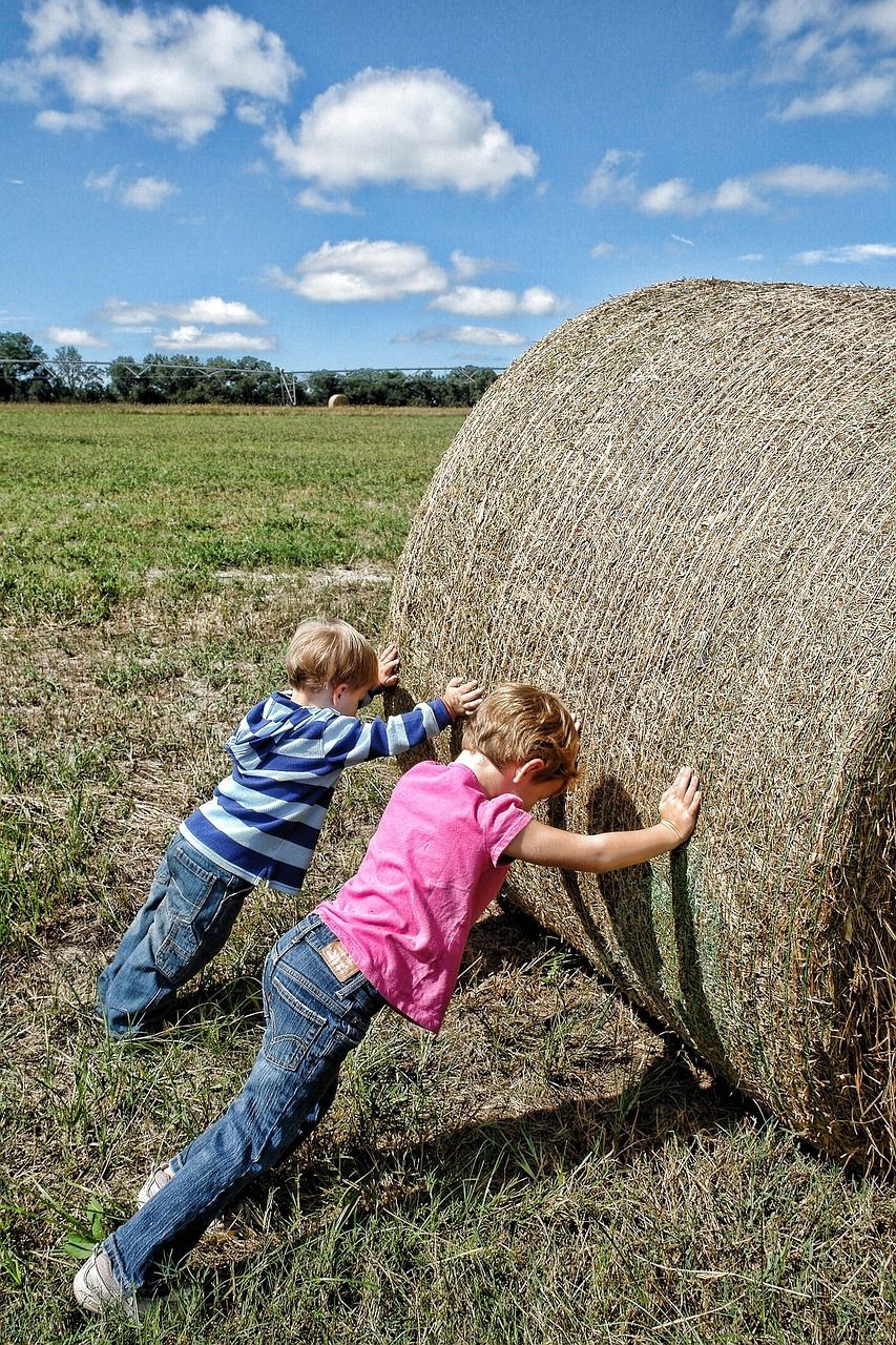 Budget 2024: What it means for farmers