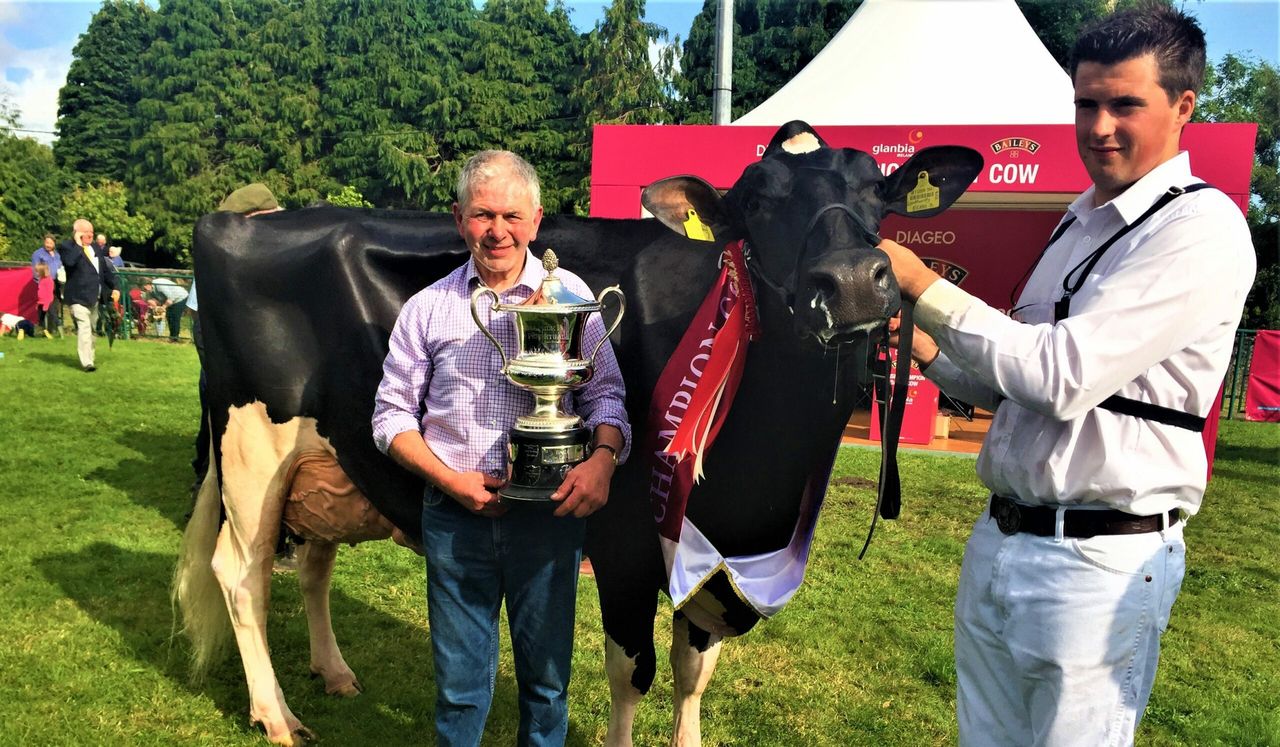 Virginia Show debutante takes Baileys Champion Cow title