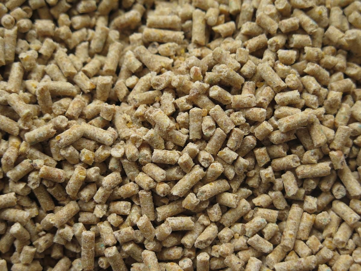 What kind of animal feed products are we importing?