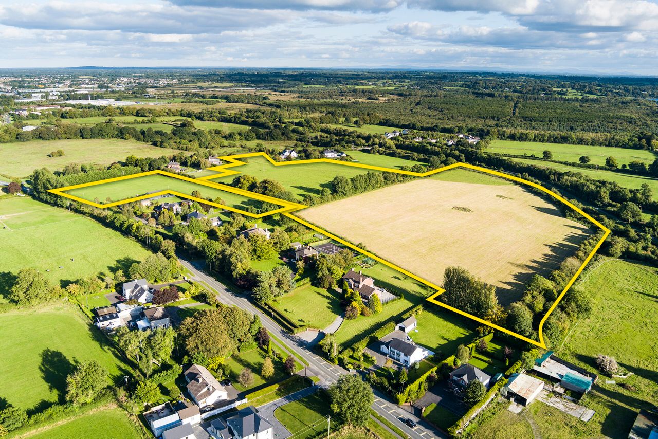 27.6ac of grassland in Westmeath up for auction