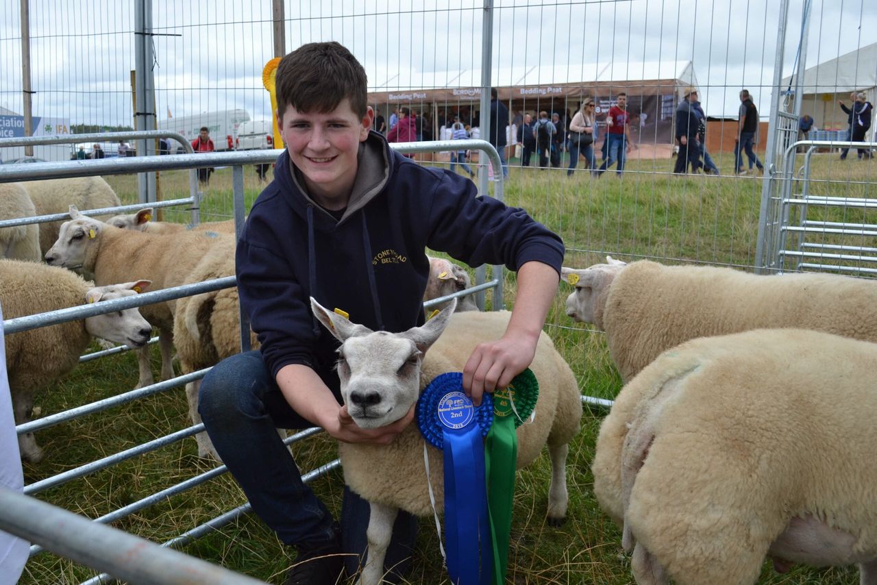 Tullamore Show entrants to feature on last of 6-part series