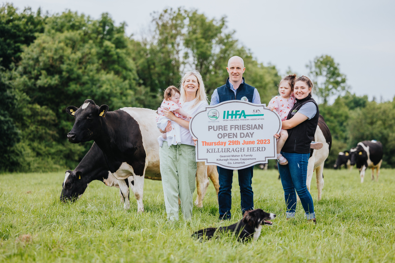 Pure Friesian Open Day to feature Limerick's Killuragh herd