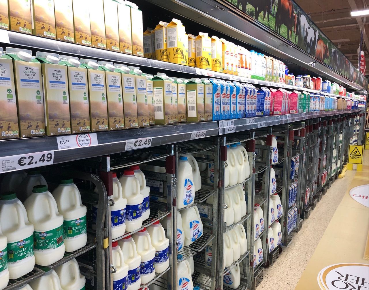 CSO: Consumer milk prices rose by 28c in June