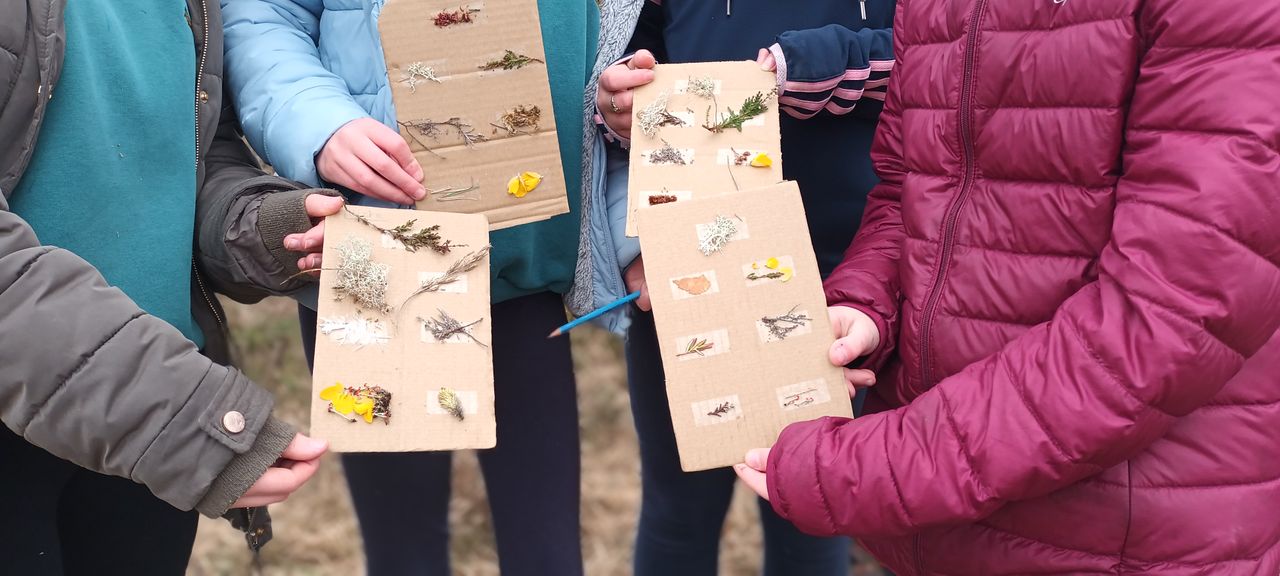 Art competition to highlight importance of Irish peatlands