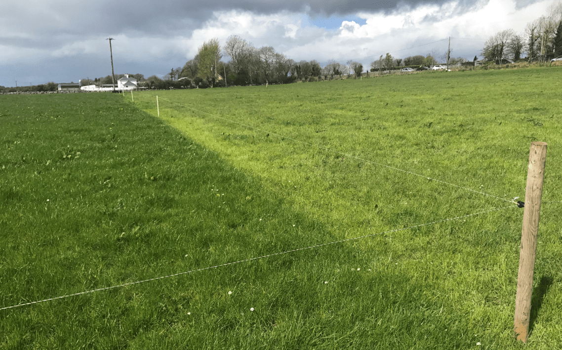 'One good grass growing year' in Ireland since 2018