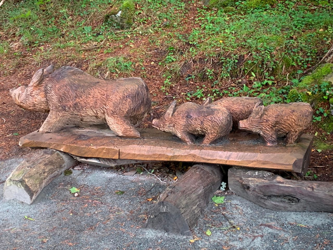 Opinion: Our forest parks are an amazing resource