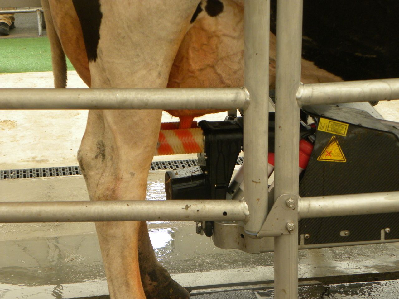 Robotic milking and feeding steal the show at Livestock Event