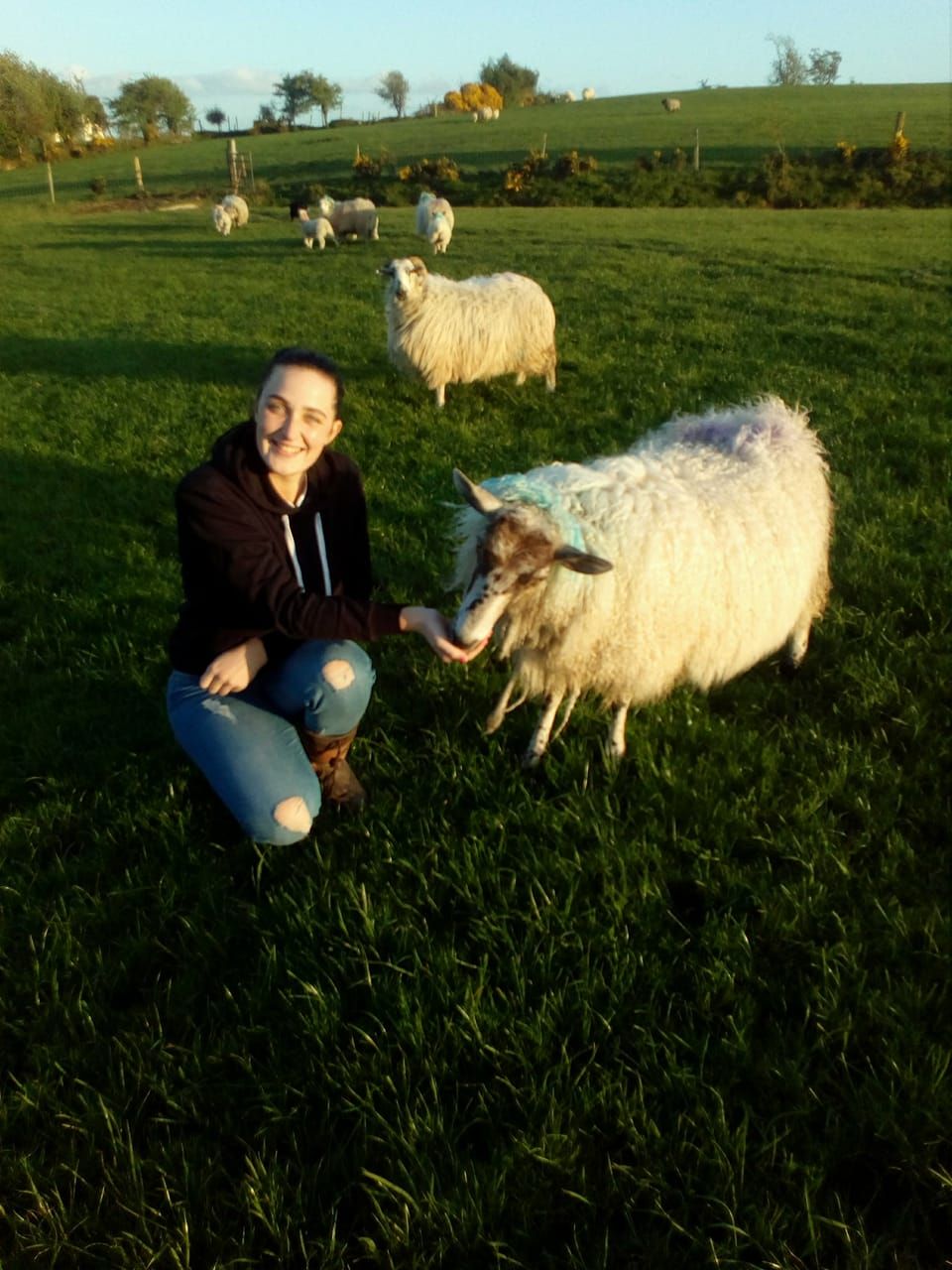 'We must work twice as hard to get our opinions heard' - Farming 'Rose'