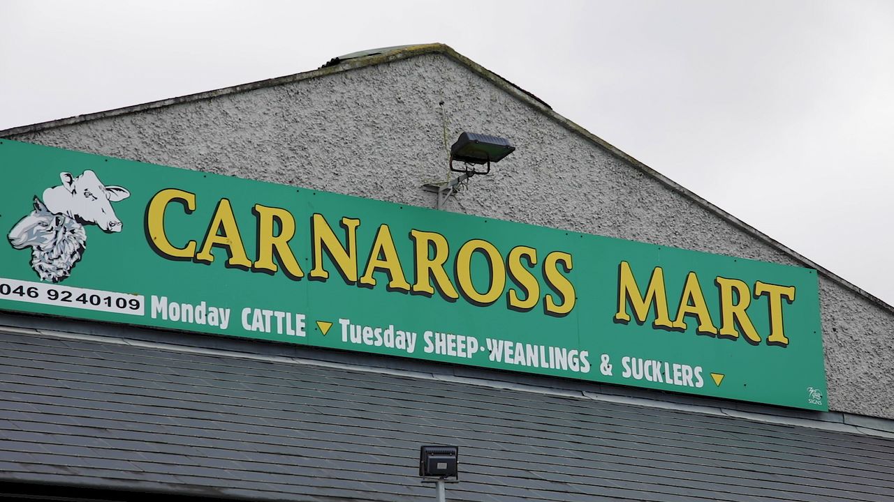 Carnaross Mart postpones reopening sale