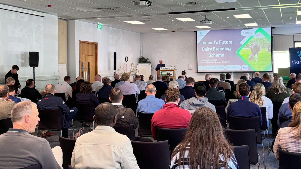 VistaMilk exploring the future of dairy breeding