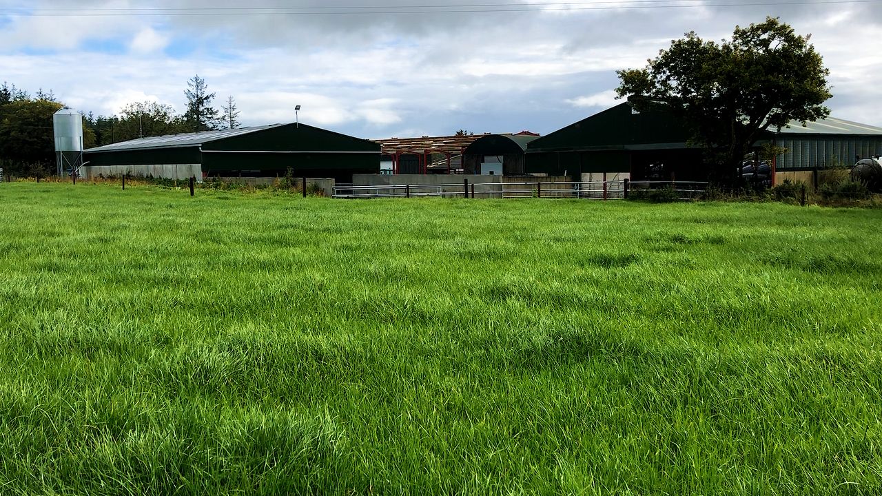 Dairy Focus: Applying the finishing touches to an expanding herd in Tipperary