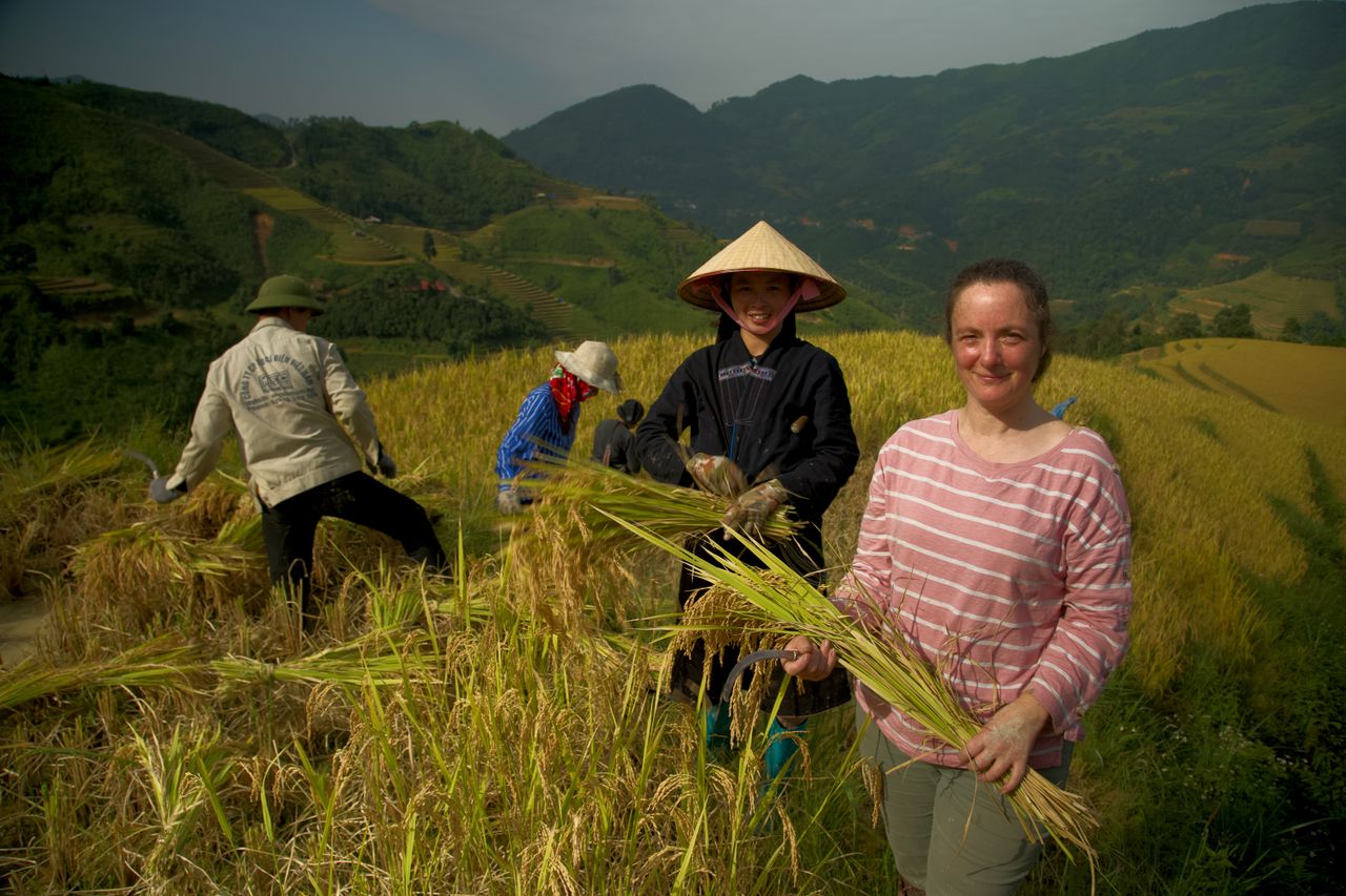 'Faraway Fields' brings home harsh reality