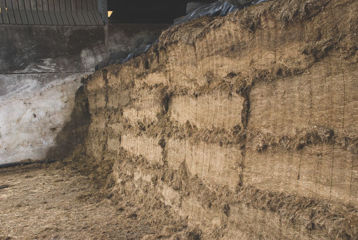 New forage analysis service enters Irish market