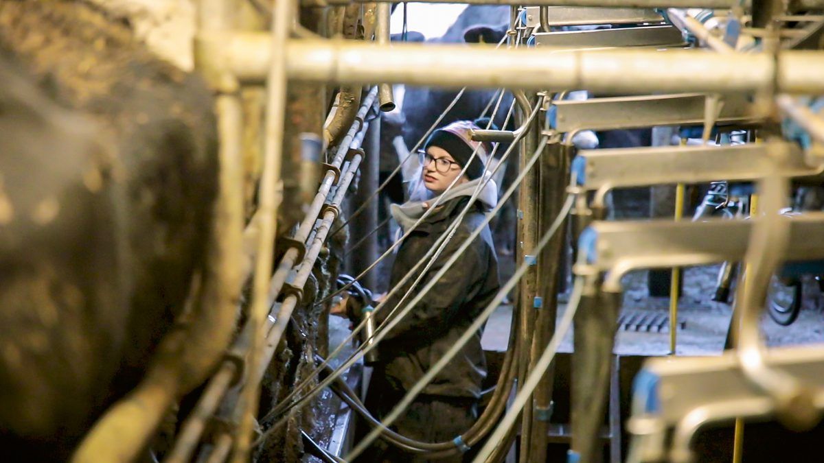 Progressive farmer focus: Breaking down boundaries on a Co. Limerick dairy farm
