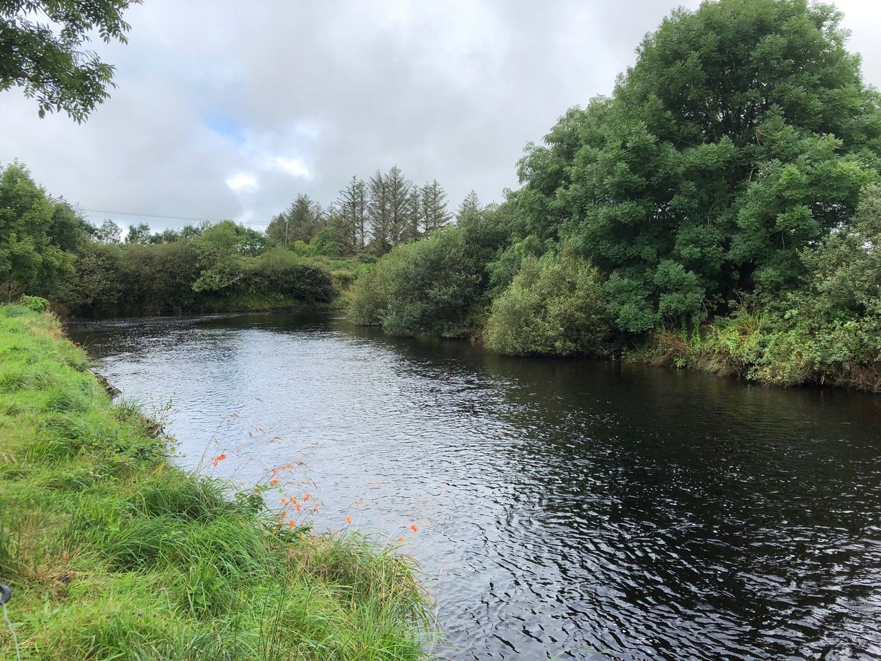 €774,000 awarded to fisheries conservation projects