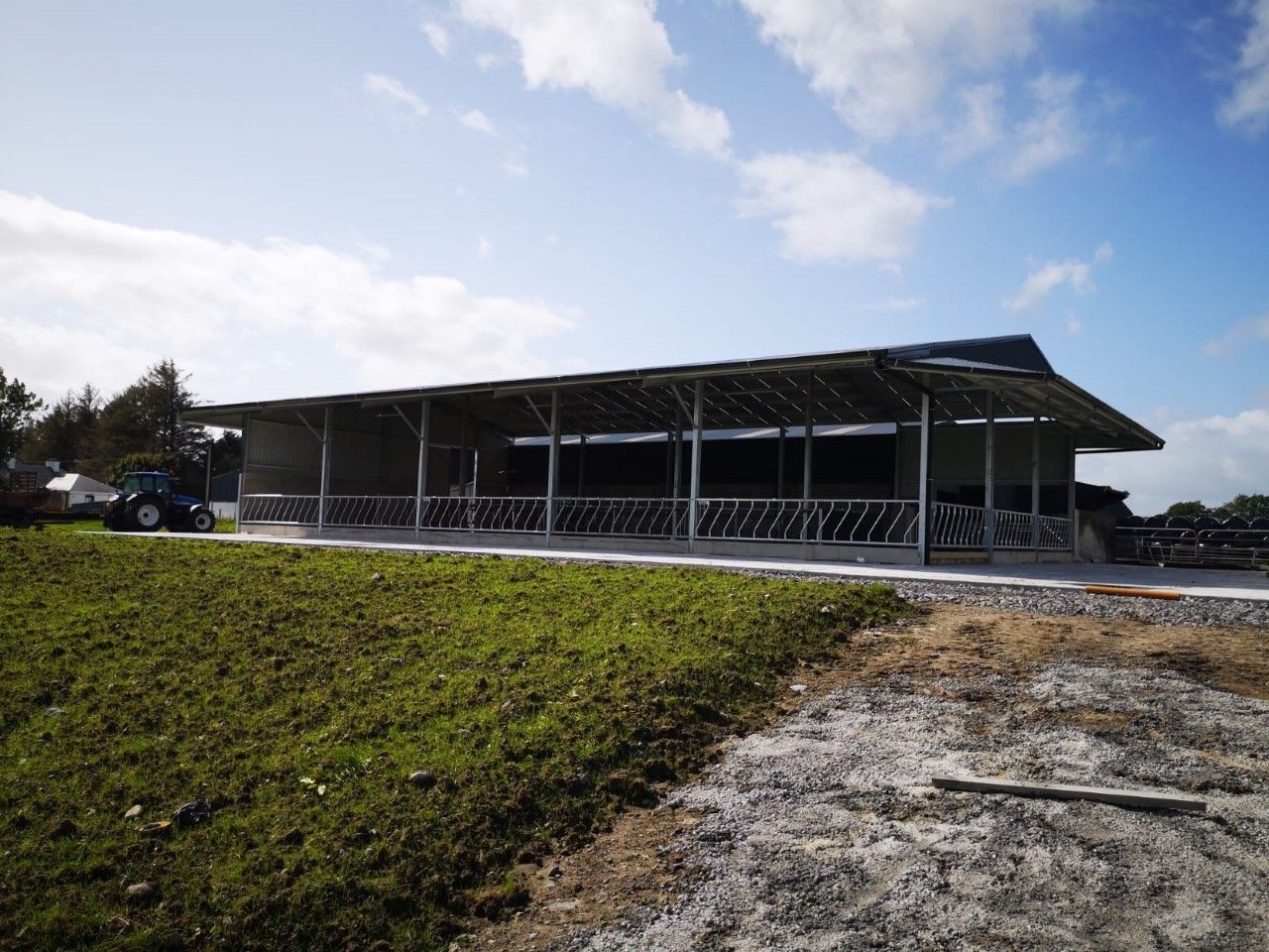 Buildings Focus: Brand new 50-cubicle shed for an expanding dairy herd in Co. Galway