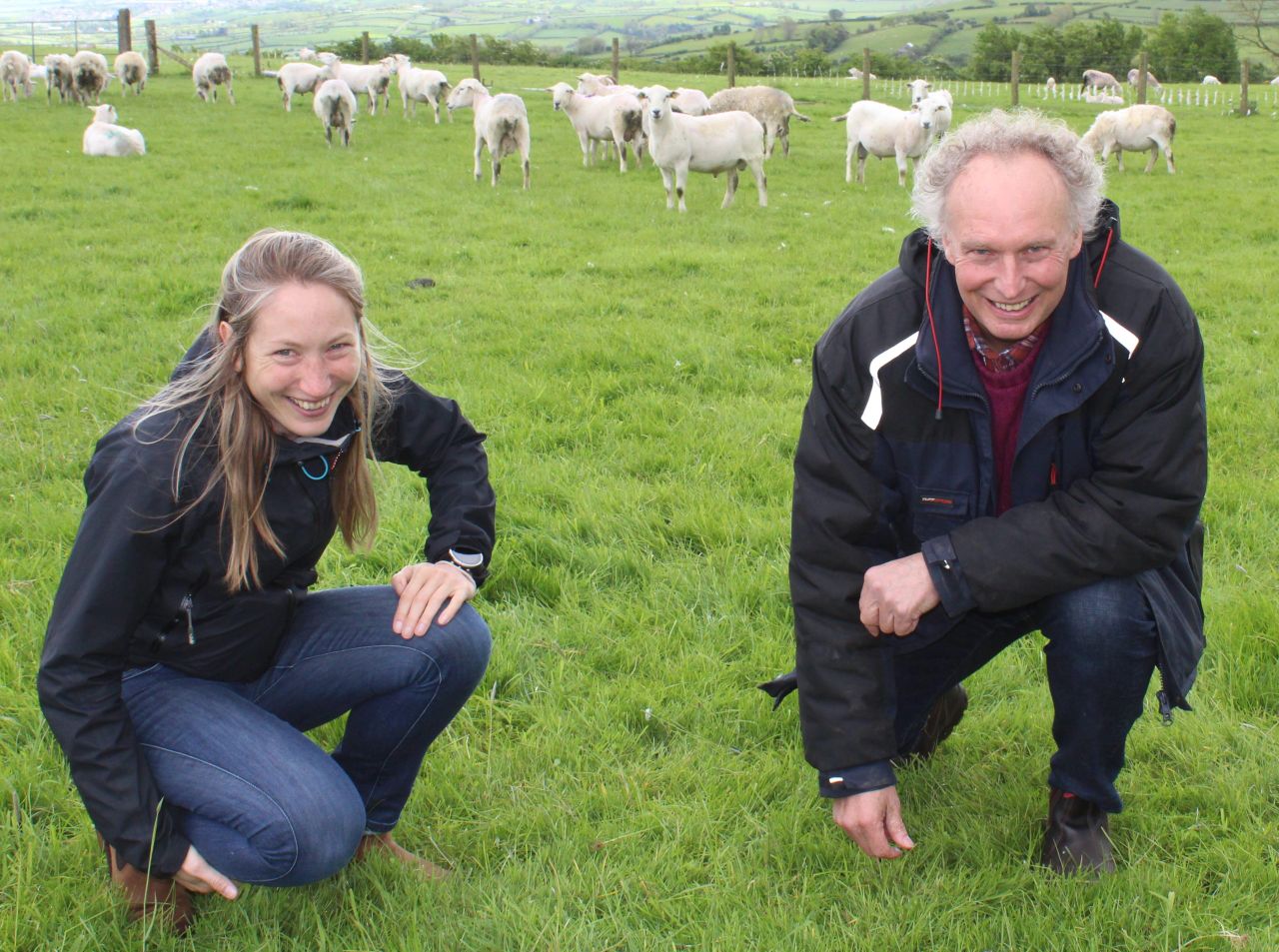 Performance recording is the ‘true basis’ of sheep selection