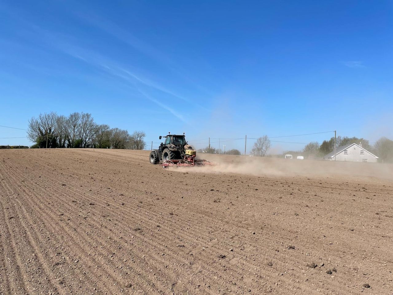 Sowing red clover on beef farms to grow high-protein feed
