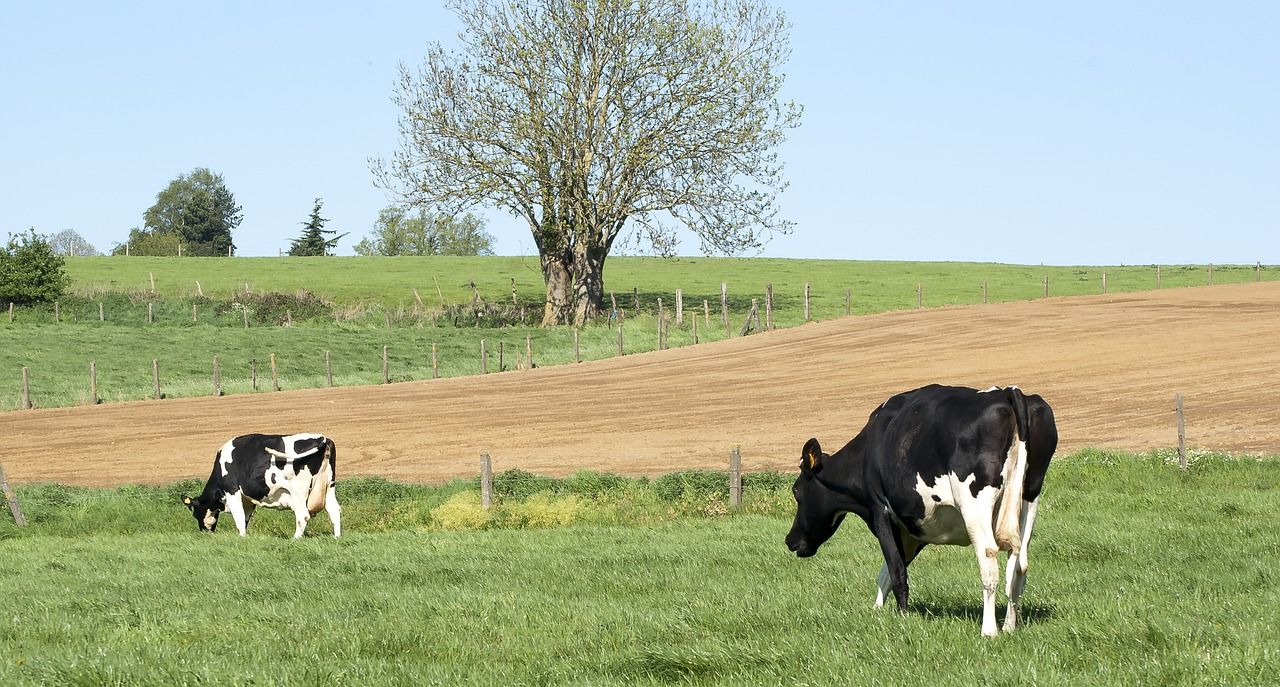 MEP and TD meet new environment commissioner on derogation