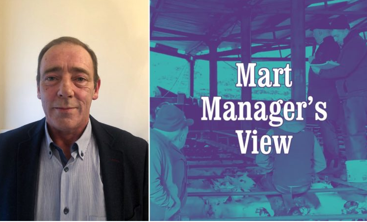 'Strong trade for store lambs' at Dowra Mart