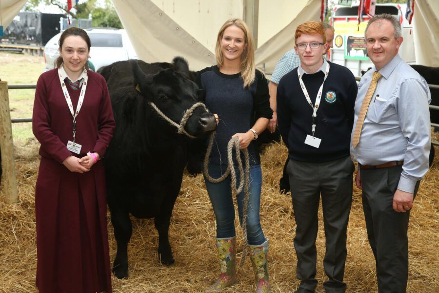 Applications now welcome to Irish Angus schools competition
