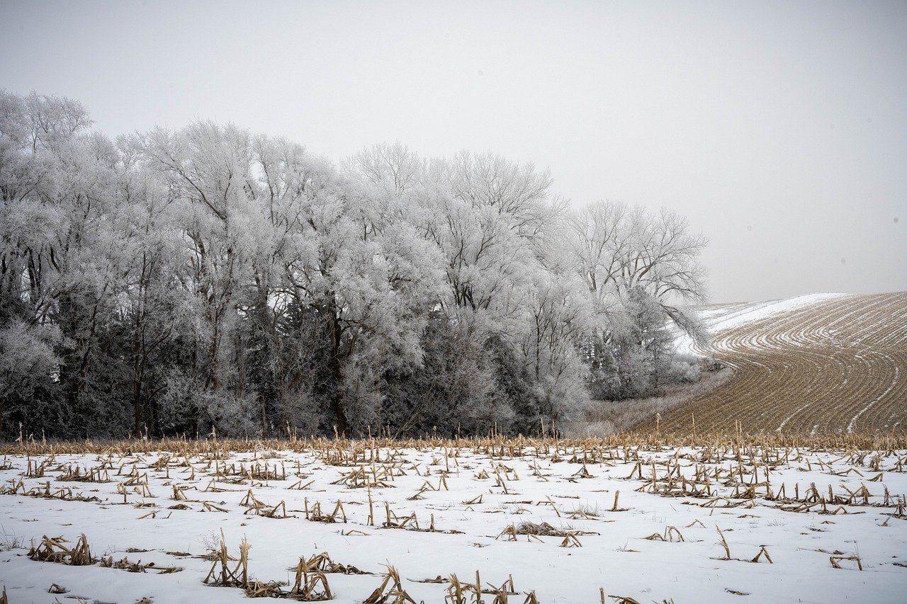 Farmers urged to think of 'own safety' in severe cold weather spell