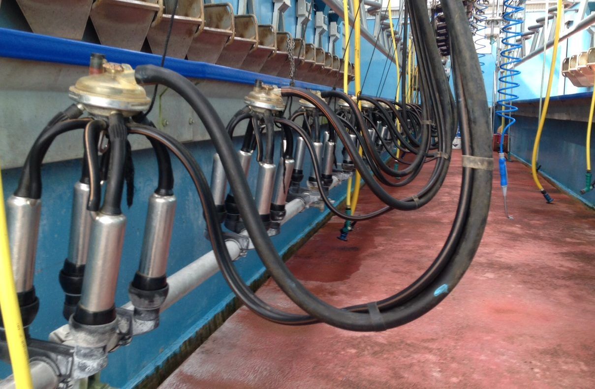 Co-ops 'owe it to farmers' to increase the June base milk price