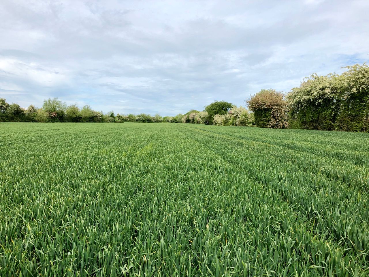 34ac for sale at Inchacooley, Monasterevin