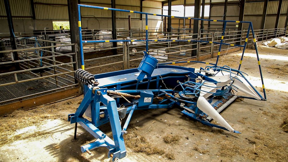 Specialist equipment is used on larger areas of hemp