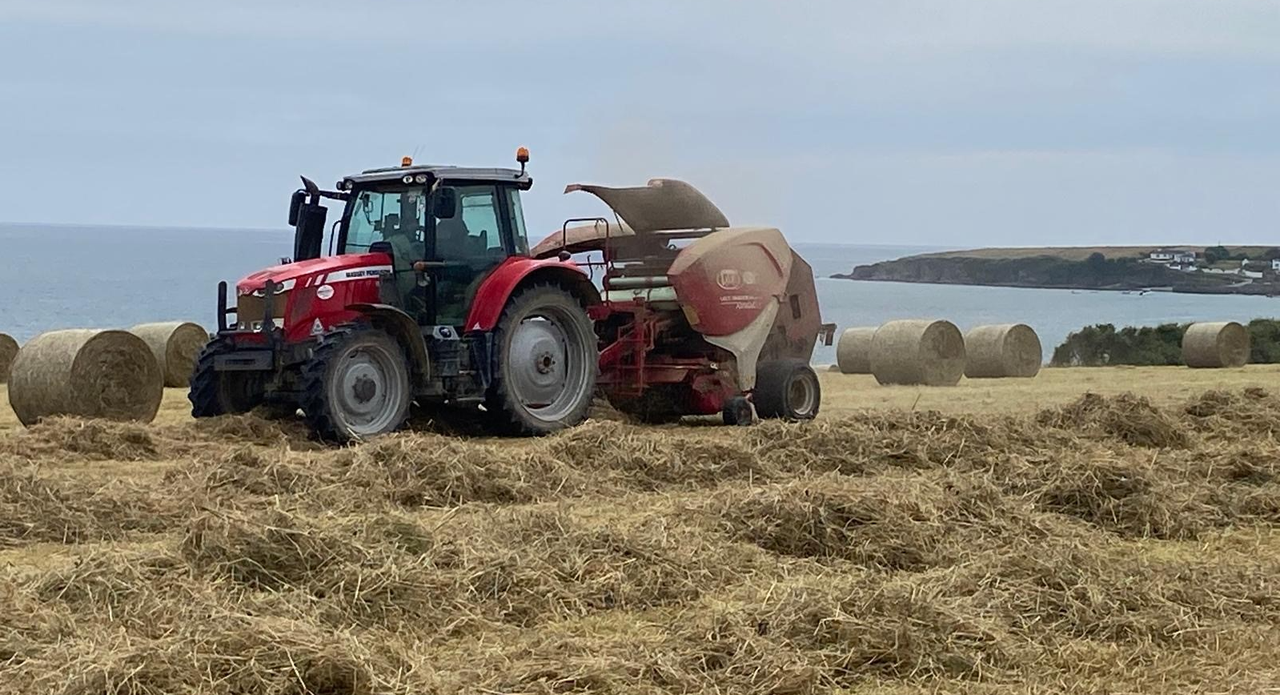 Short weather spell offers potential opportunity for hay