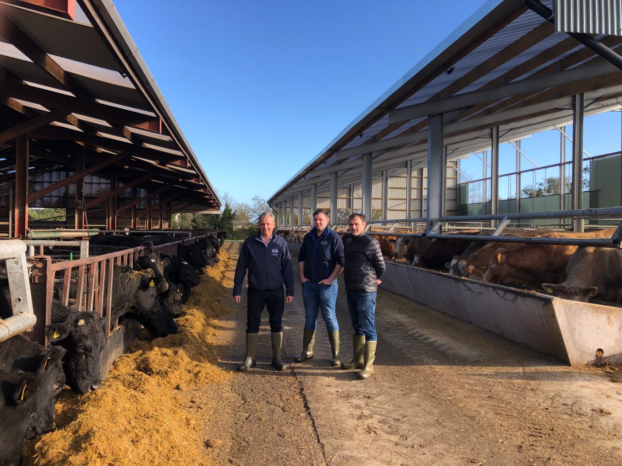 Factory offering farmers free AI straws ‘to show benefit of better genetics’