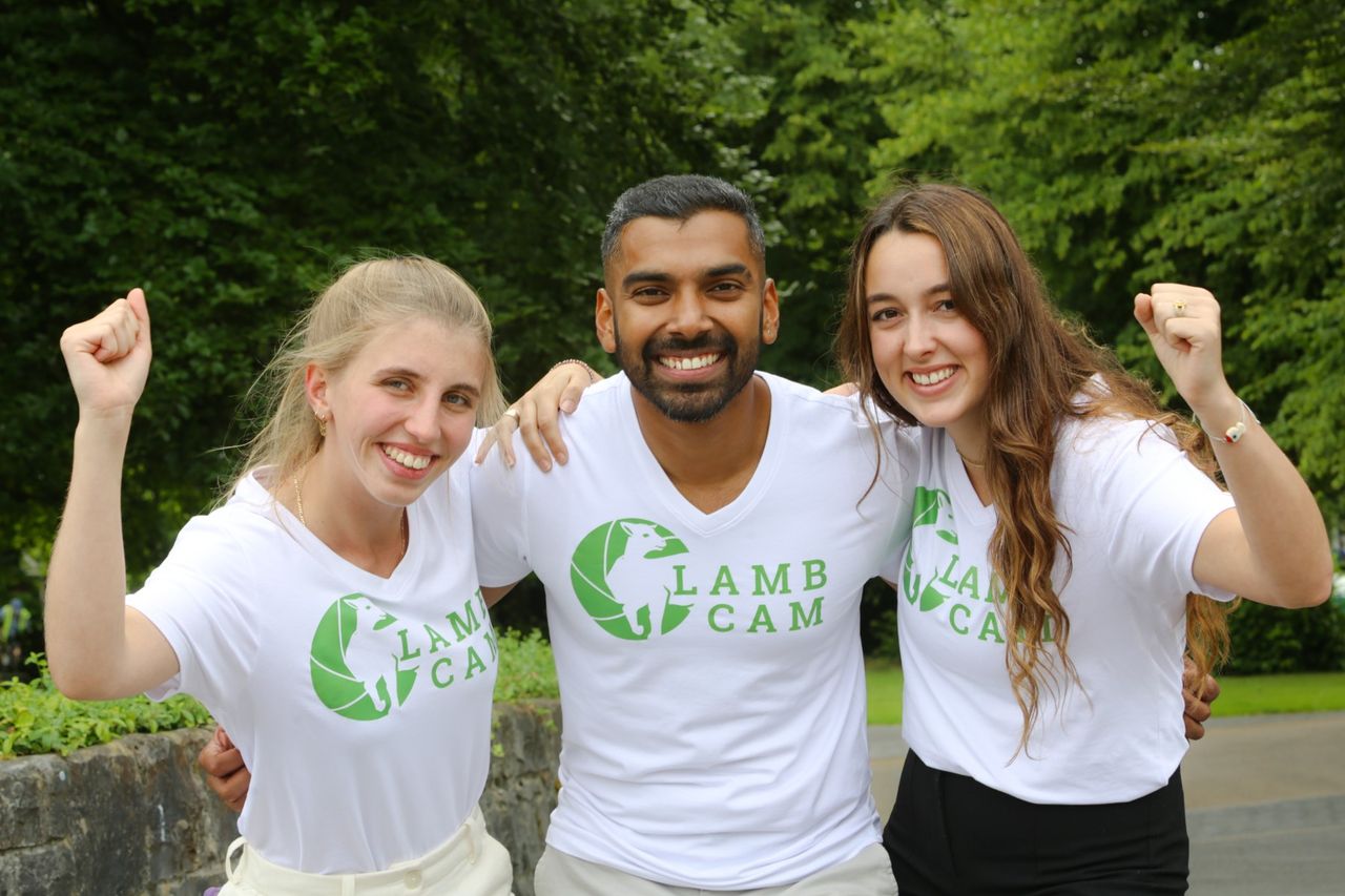 Students win €5,000 prize for 'lambing' software
