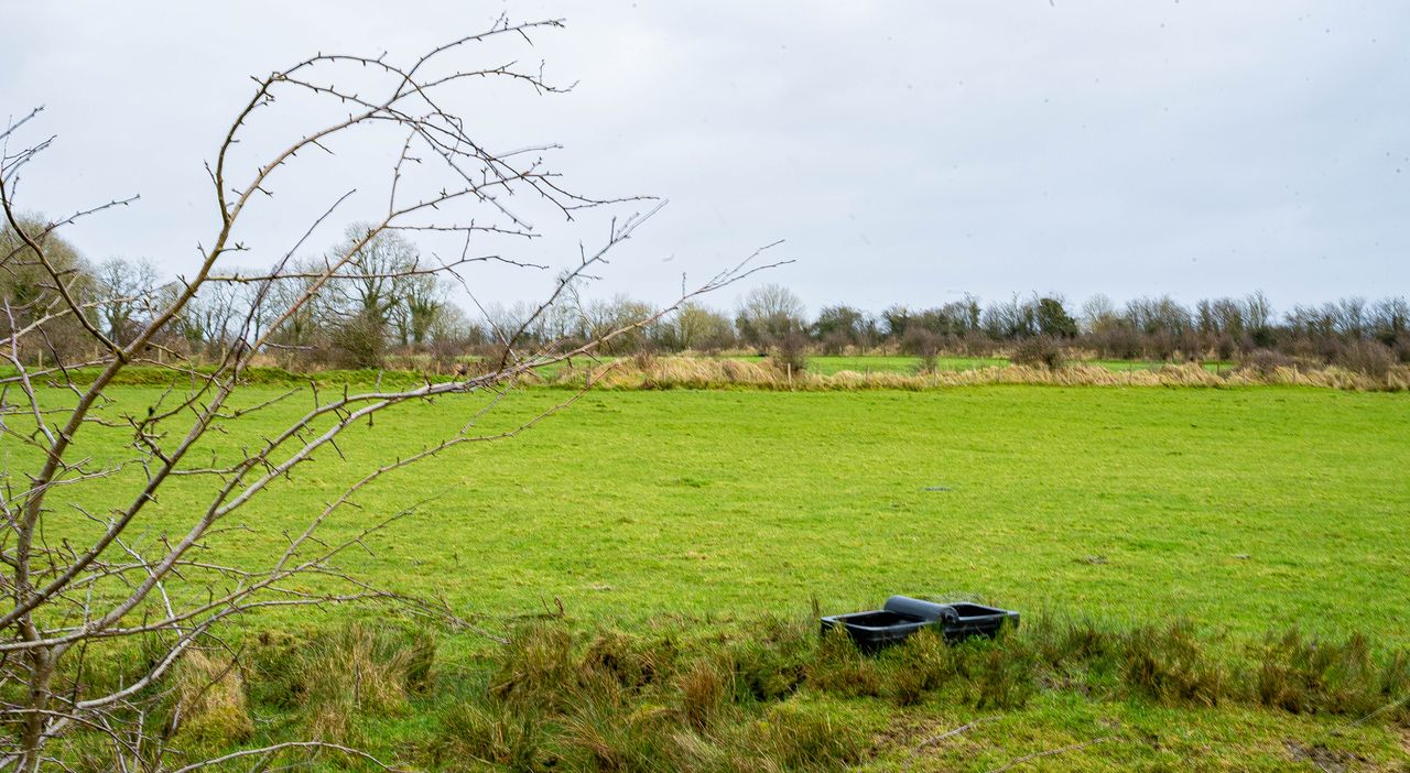 Eco-scheme balancing payments now issuing to farmers