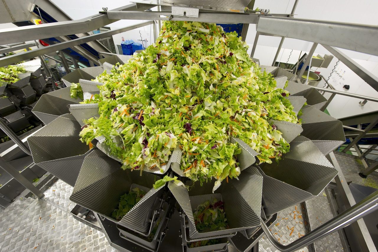 Salad giant Willowbrook secures €2.5m of additional business in ROI