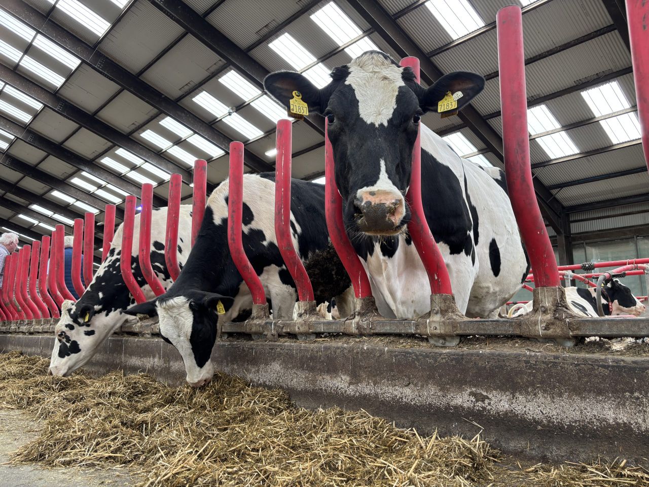 A look inside this year’s IHFA open day host farm