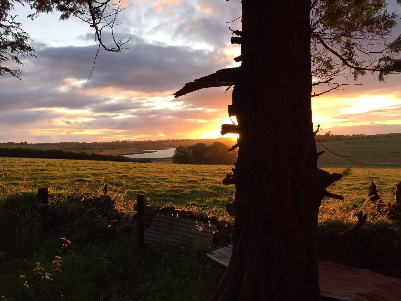 A dry weekend in store with some light rain next week - Met Eireann