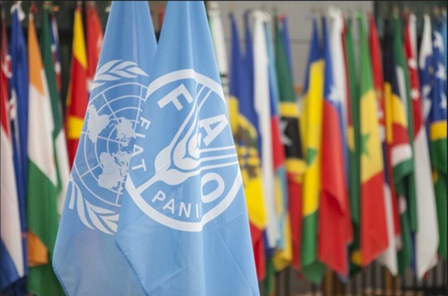 FAO: Food insecurity the 'new normal' since Covid-19