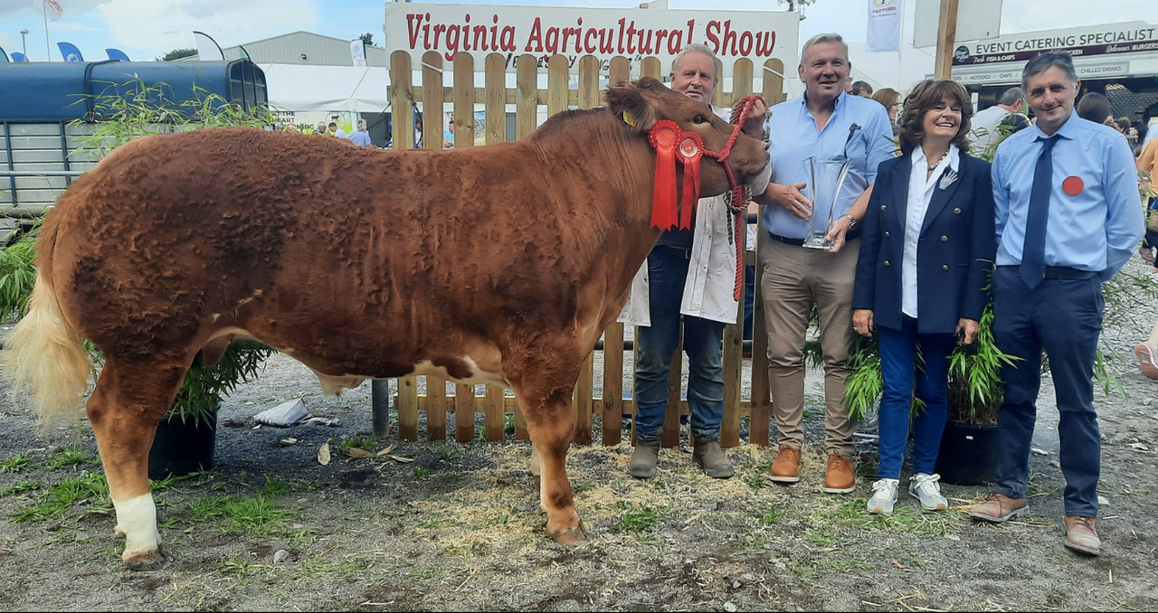 Gallery: Cattle results and winners at the Virginia Show