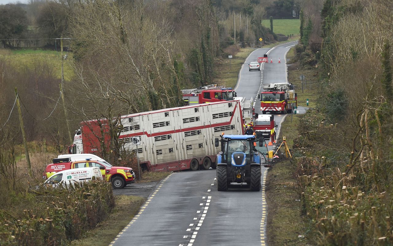 Road still closed after fatal crash involving livestock truck