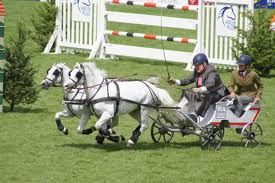 Fast and furious at the dublin horse show