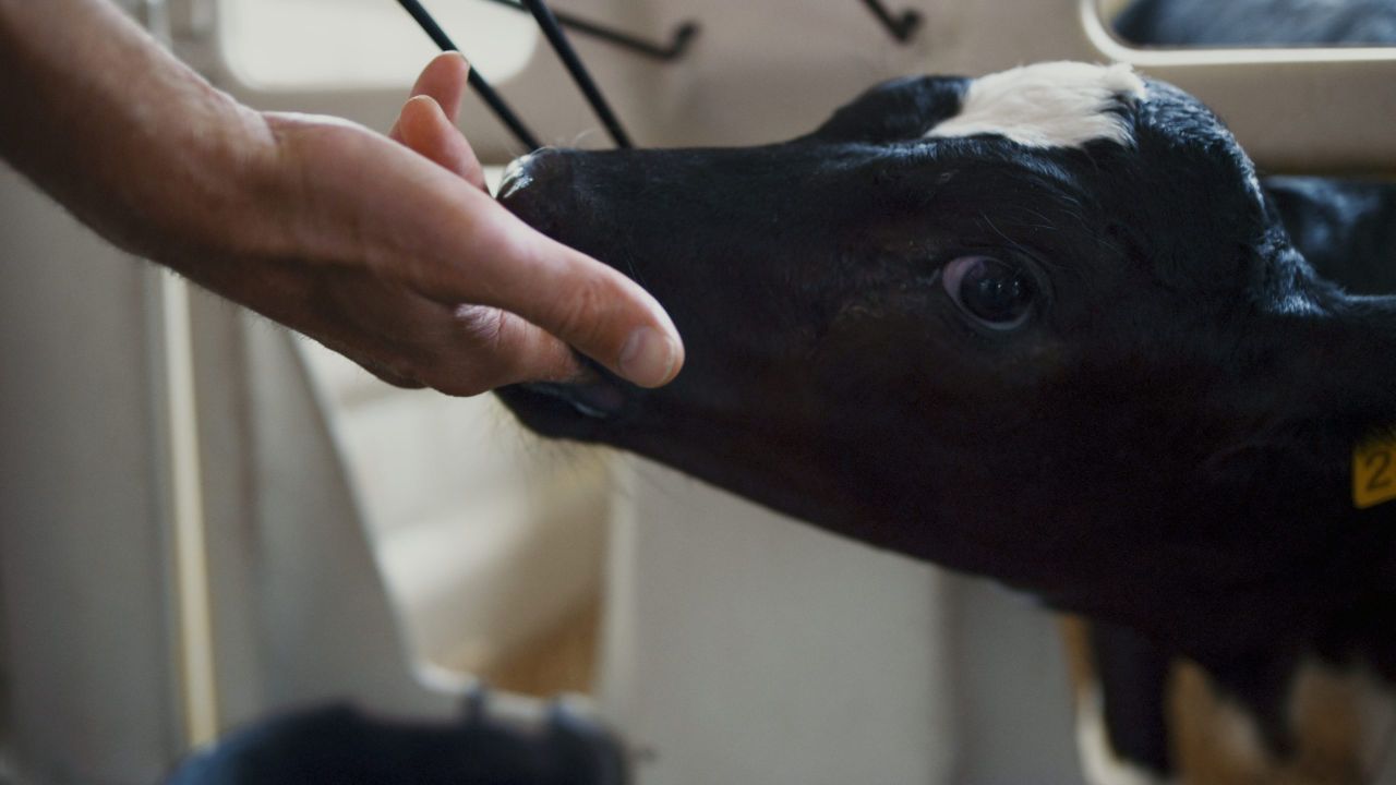 Watch: Genetic resistance - why is it important in the fight against TB?