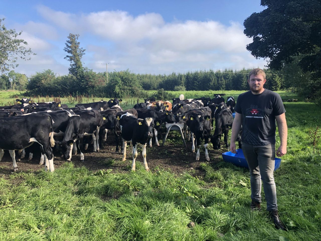 Calf rearing on Farmer Phil's livestock farm