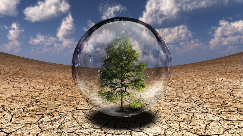 '28% of people are living in fuel poverty' - climate action report launch hears