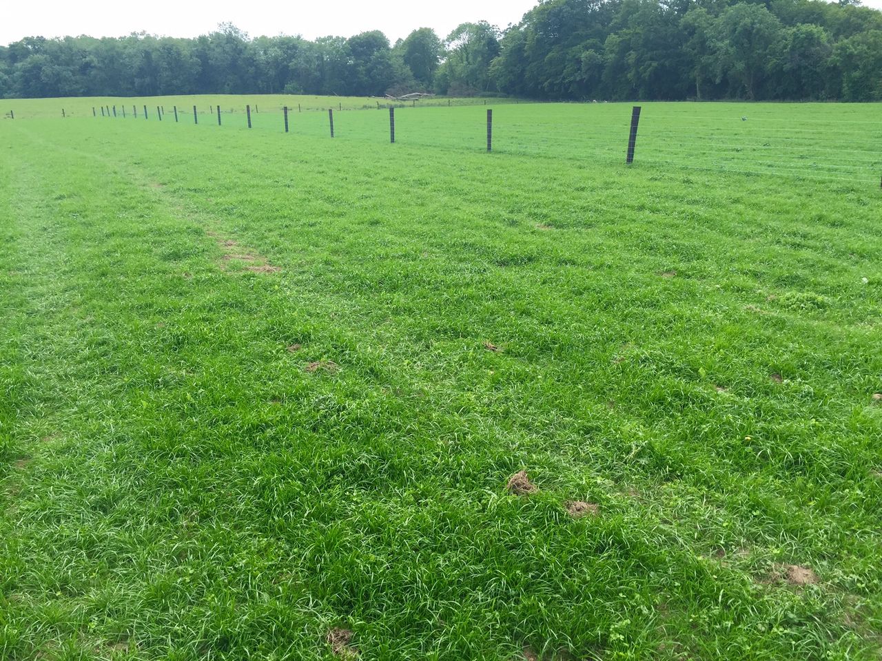 Soil test results represent real power for farmers