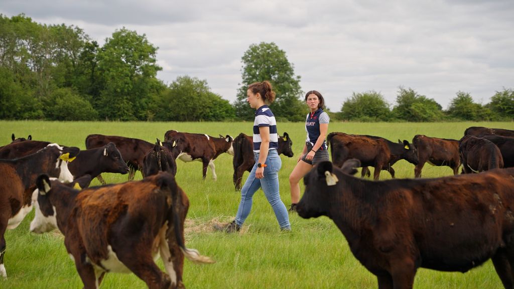 Ciara and Claire Flavin checking the calves on their farm