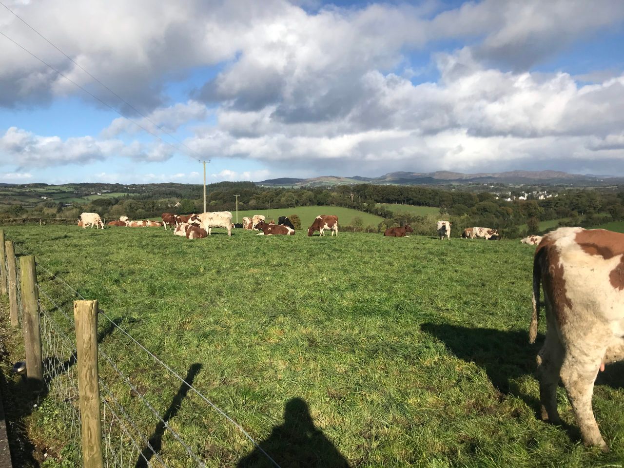 Dairy Focus: Stepping back without a successor in Donegal