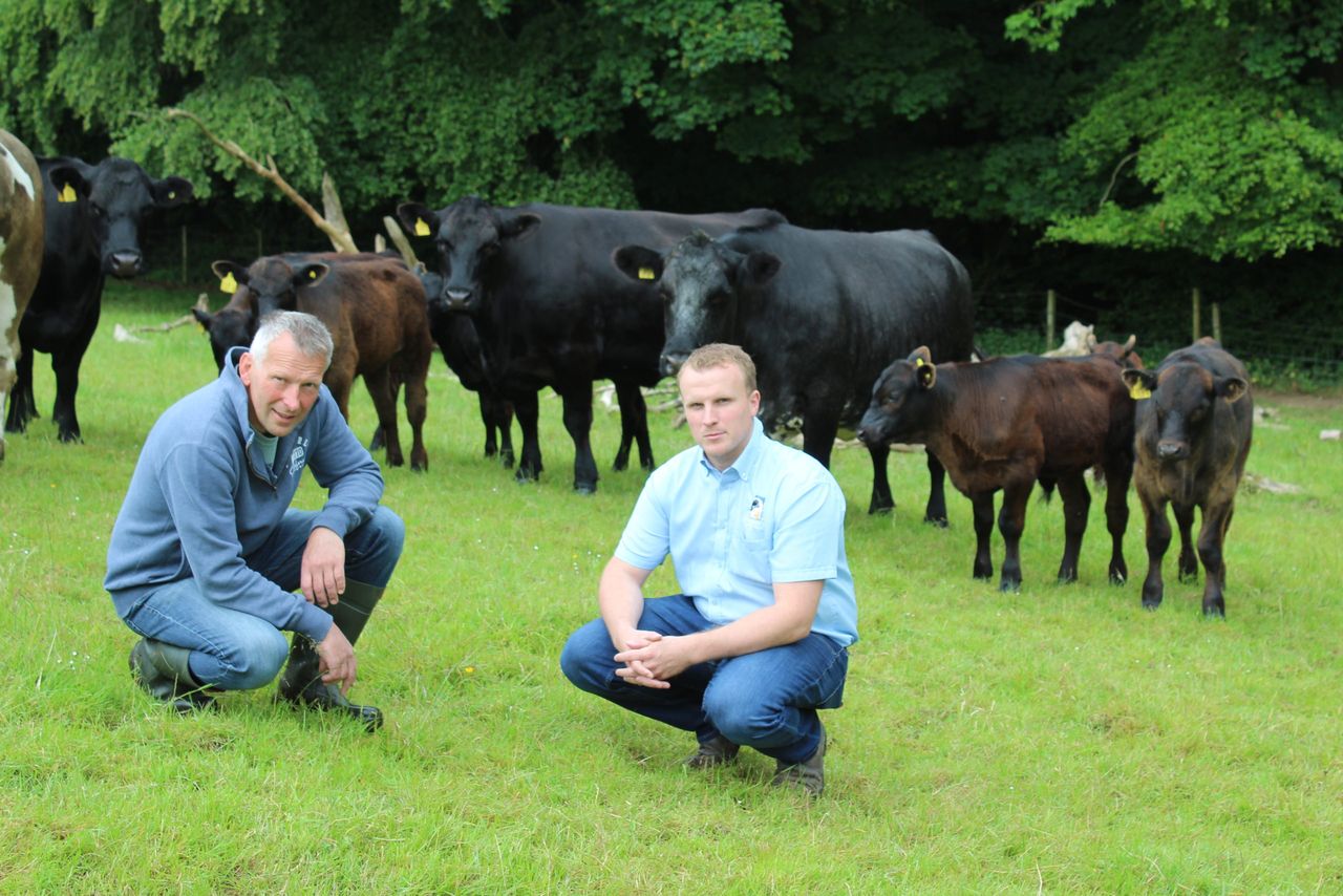 Synchronisation is opening up new horizons for suckler farmers