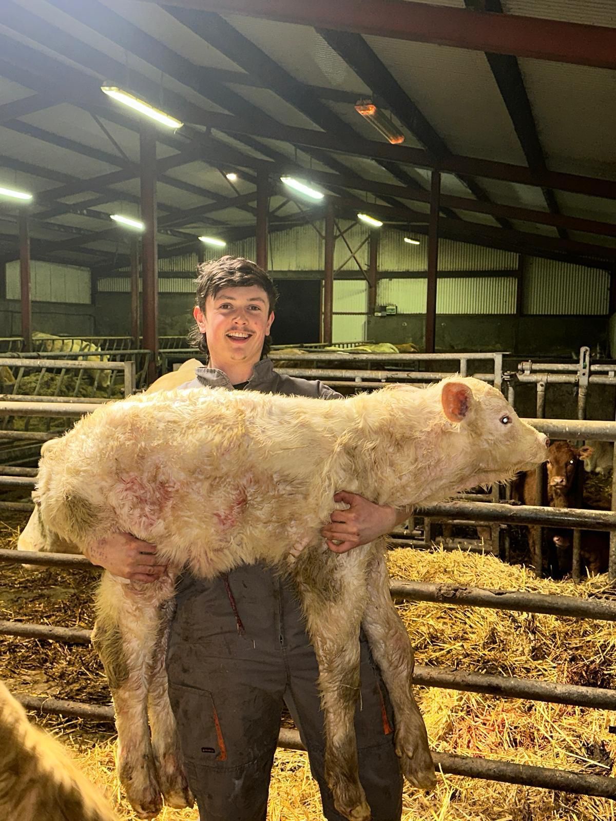 Monaghan's farming footballer: Juggling ball, sheep &amp; sleep