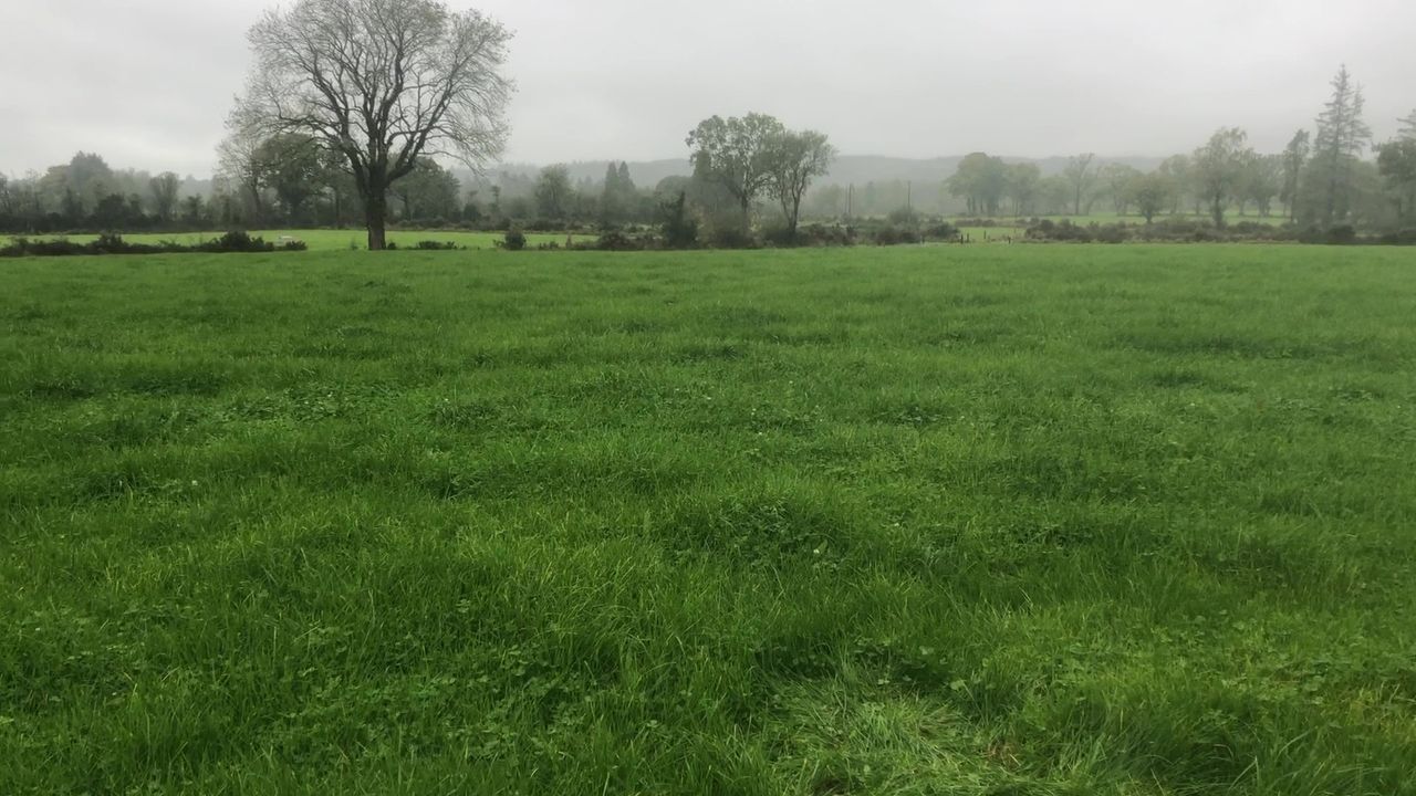 GrowthWatch: Making use of grass in challenging conditions