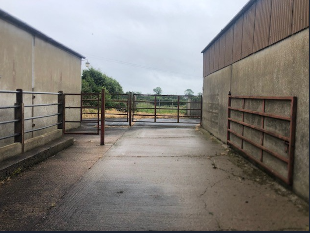 Budget 2025: Farmer 'income volatility' measure under discussion